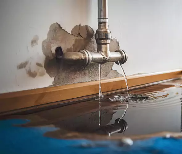 Professional Water Damage Restoration Experts in San Marcos, CA — Fast, Reliable & Certified